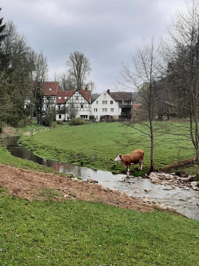 Haus An Der Werbe Daire Waldeck  Dış mekan fotoğraf