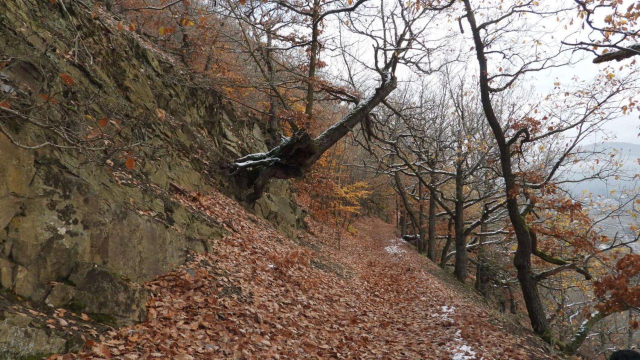 Haus An Der Werbe Daire Waldeck  Dış mekan fotoğraf