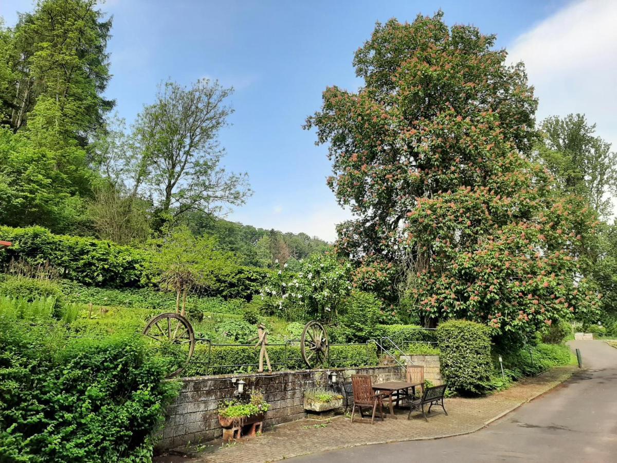 Haus An Der Werbe Daire Waldeck  Dış mekan fotoğraf