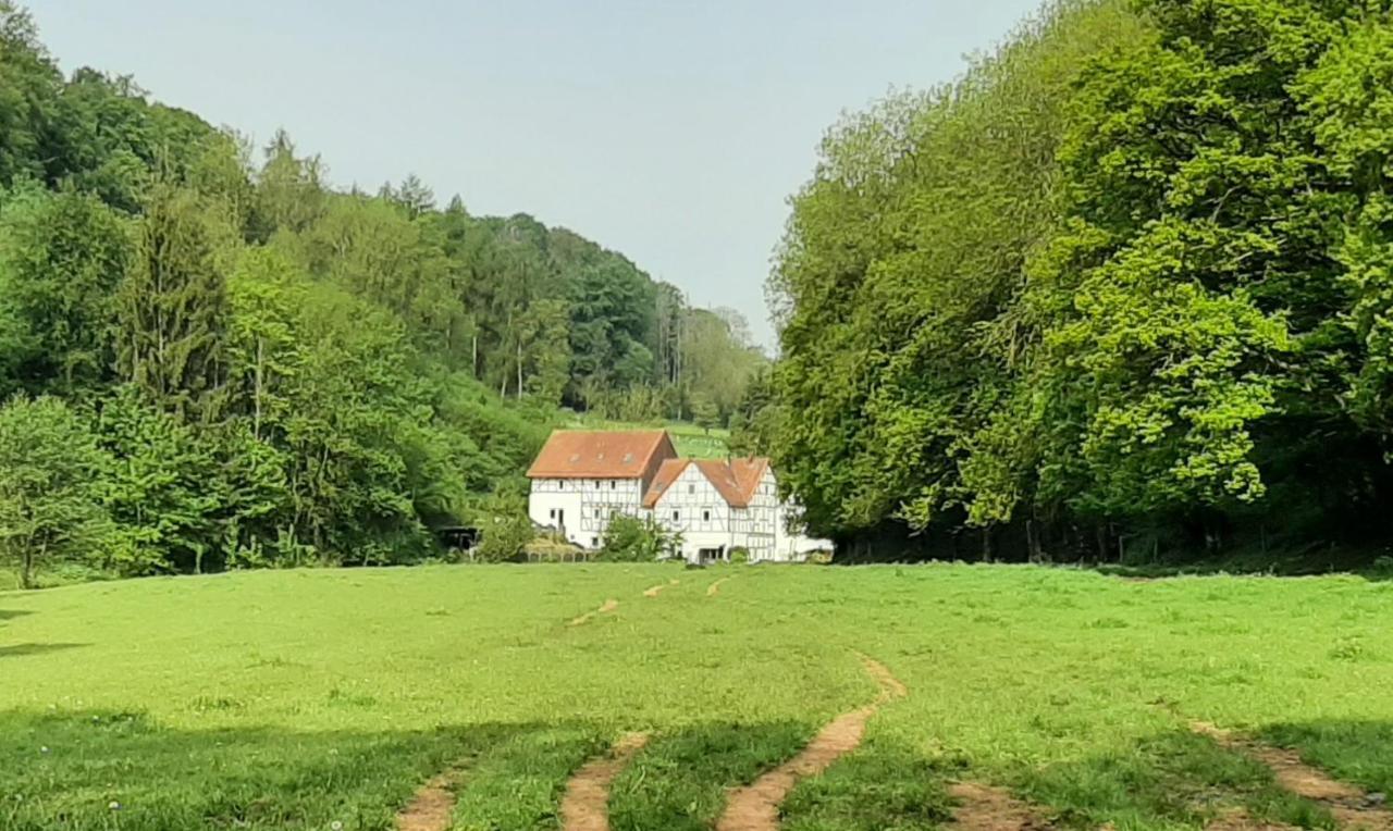 Haus An Der Werbe Daire Waldeck  Dış mekan fotoğraf